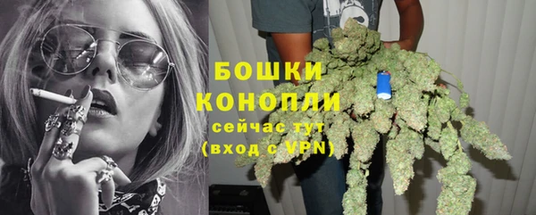 ГАЛЛЮЦИНОГЕННЫЕ ГРИБЫ Белокуриха