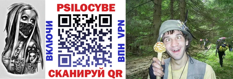 Галлюциногенные грибы MAGIC MUSHROOMS  Бирюсинск 
